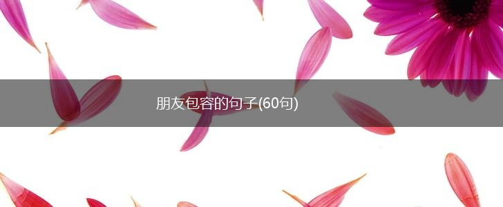朋友包容的句子(60句),第1张