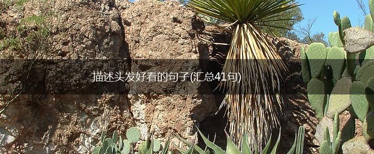 描述头发好看的句子(汇总41句),第1张