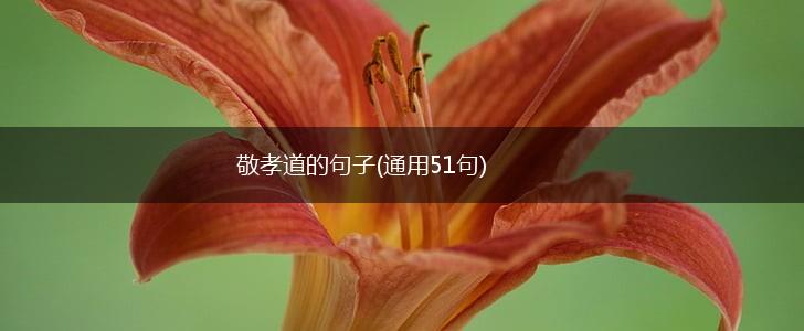 敬孝道的句子(通用51句),第1张