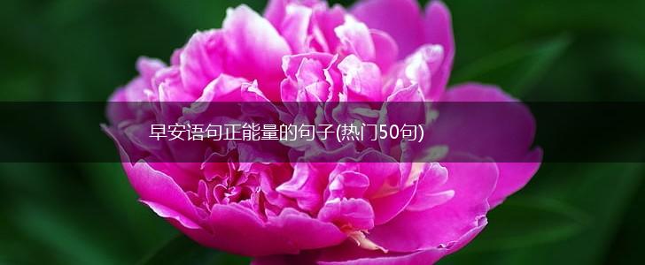 早安语句正能量的句子(热门50句),第1张