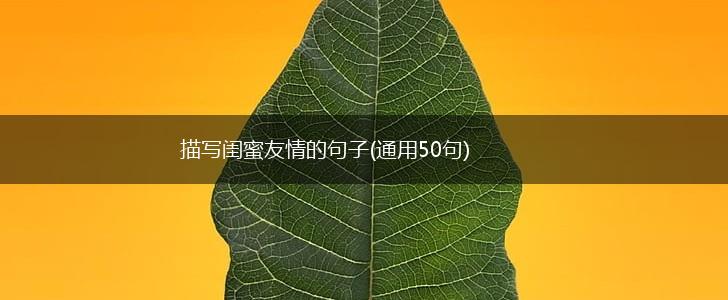 描写闺蜜友情的句子(通用50句),第1张