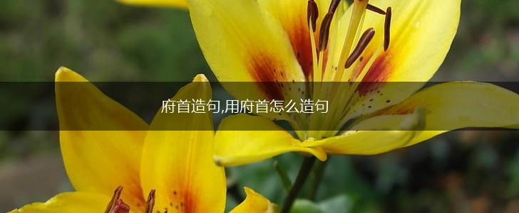 府首造句,用府首怎么造句,第1张