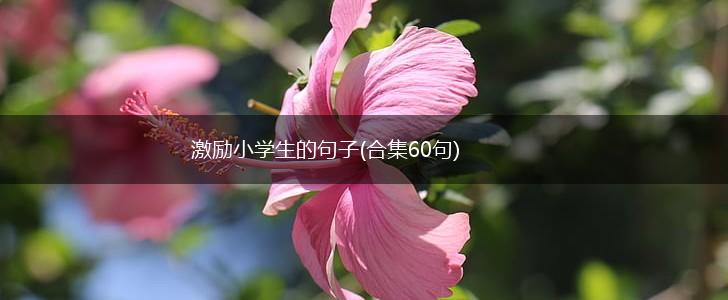 激励小学生的句子(合集60句),第1张