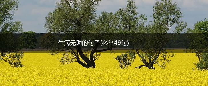 生病无助的句子(必备49句),第1张