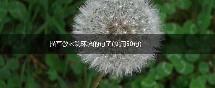 描写敬老院环境的句子(实用50句),第1张