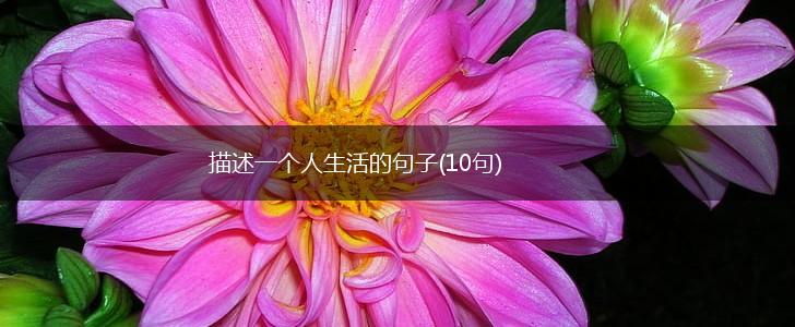 描述一个人生活的句子(10句),第1张
