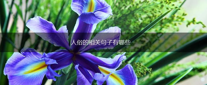 人俗的相关句子有哪些,第1张 人俗的相关句子有哪些,第1张
