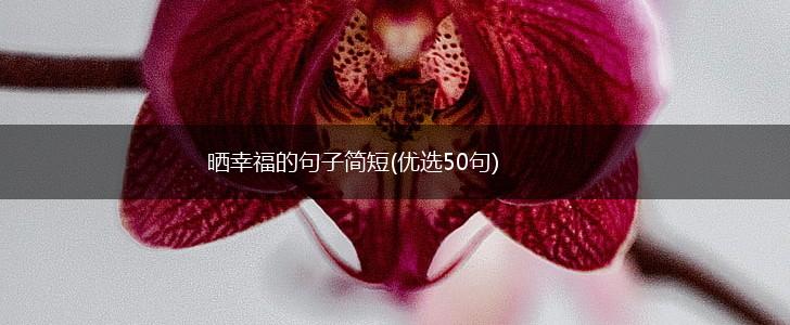 晒幸福的句子简短(优选50句),第1张