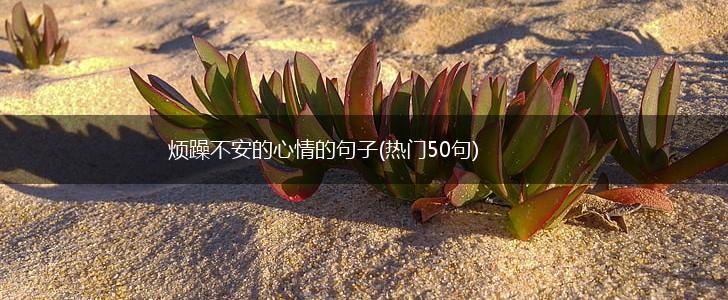 烦躁不安的心情的句子(热门50句),第1张
