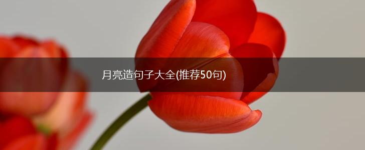 月亮造句子大全(推荐50句),第1张