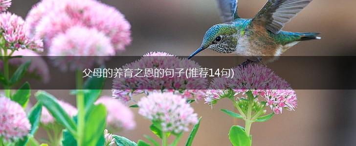 父母的养育之恩的句子(推荐14句),第1张