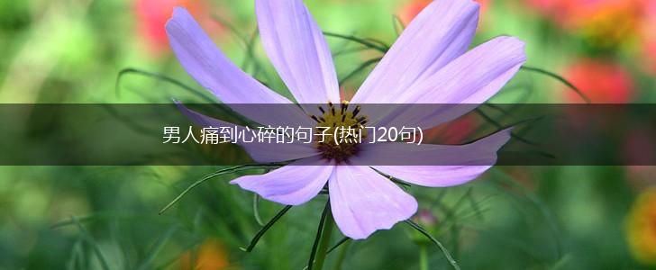 男人痛到心碎的句子(热门20句),第1张