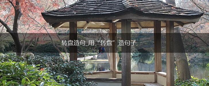 转盘造句_用“转盘”造句子,第1张