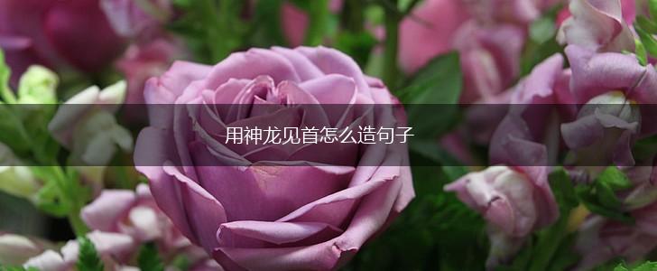 用神龙见首怎么造句子,第1张