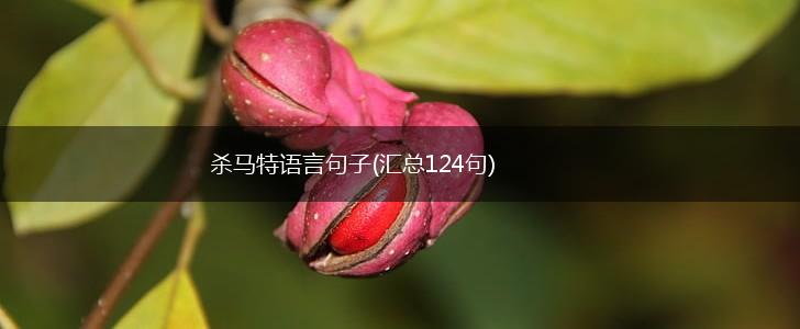 杀马特语言句子(汇总124句),第1张