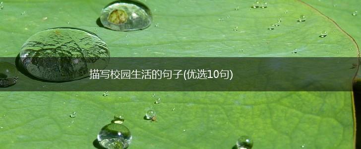 描写校园生活的句子(优选10句),第1张
