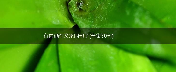 有内涵有文采的句子(合集50句),第1张