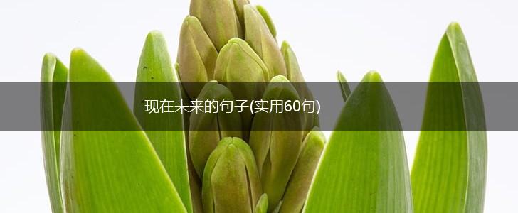 现在未来的句子(实用60句),第1张