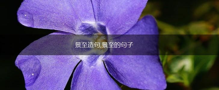 景至造句,景至的句子,第1张