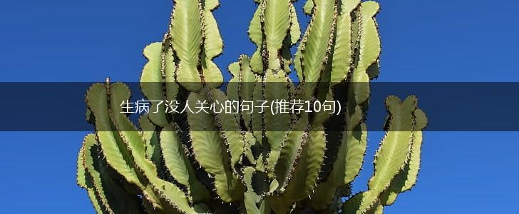 生病了没人关心的句子(推荐10句),第1张