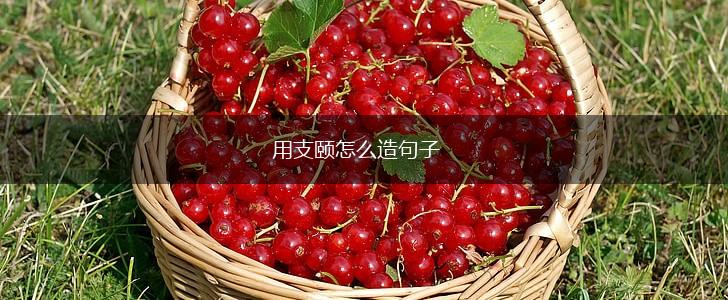用支颐怎么造句子,第1张 用支颐怎么造句子,第1张