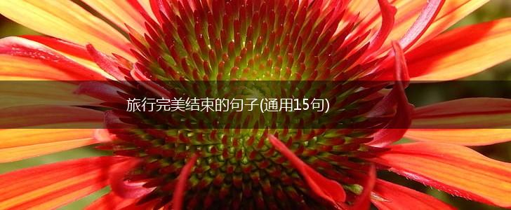 旅行完美结束的句子(通用15句),第1张