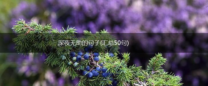 深夜无助的句子(汇总50句),第1张