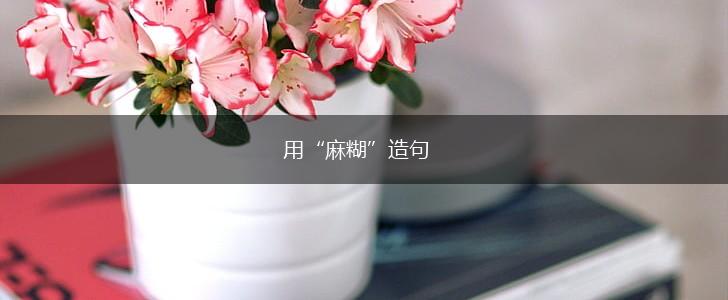 用“麻糊”造句,第1张