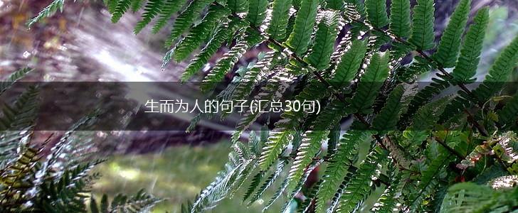 生而为人的句子(汇总30句),第1张