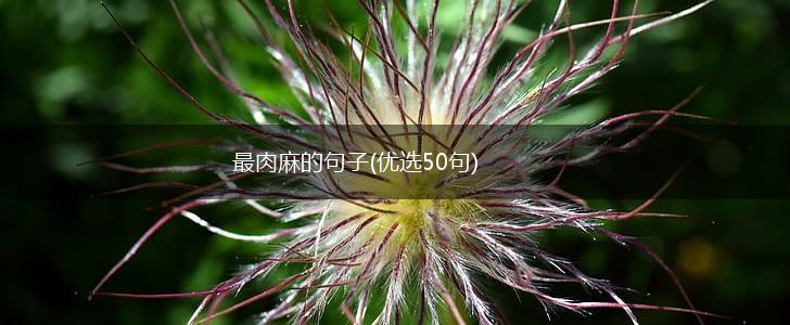 最肉麻的句子(优选50句),第1张