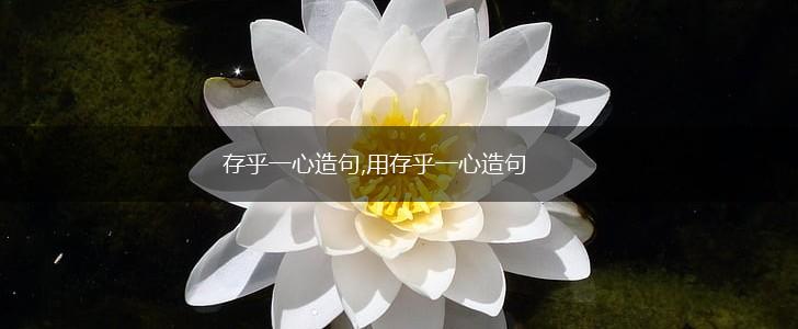 存乎一心造句,用存乎一心造句,第1张