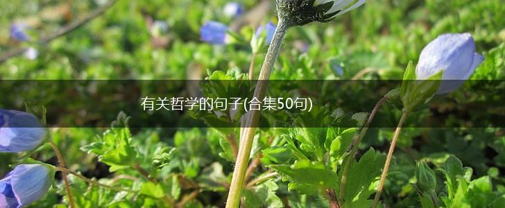 有关哲学的句子(合集50句),第1张