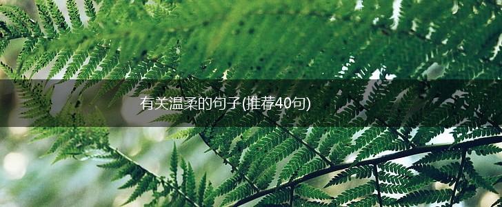 有关温柔的句子(推荐40句),第1张