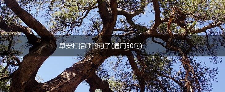 早安打招呼的句子(通用50句),第1张