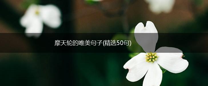 摩天轮的唯美句子(精选50句),第1张