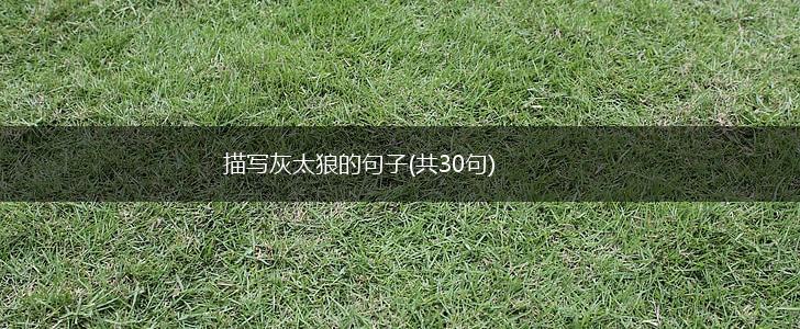 描写灰太狼的句子(共30句),第1张