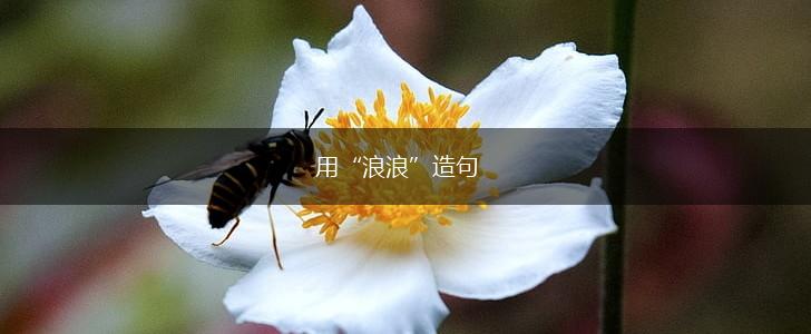 用“浪浪”造句,第1张