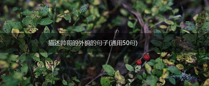描述帅哥的外貌的句子(通用50句),第1张