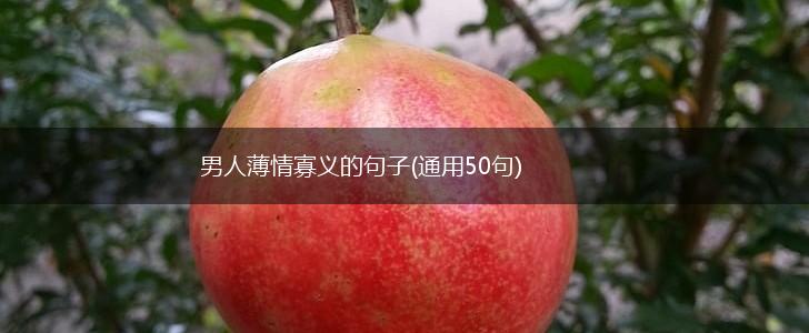 男人薄情寡义的句子(通用50句),第1张