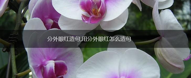 分外眼红造句,用分外眼红怎么造句,第1张