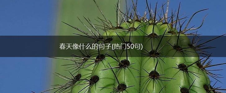 春天像什么的句子(热门50句),第1张