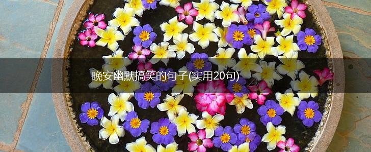 晚安幽默搞笑的句子(实用20句),第1张
