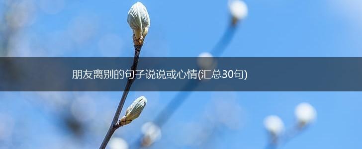 朋友离别的句子说说或心情(汇总30句),第1张