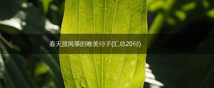 春天放风筝的唯美句子(汇总20句),第1张