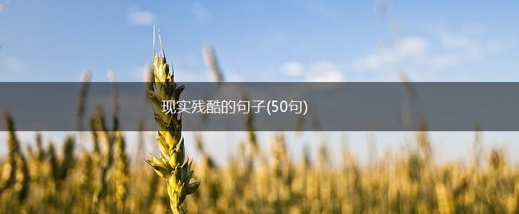 现实残酷的句子(50句),第1张