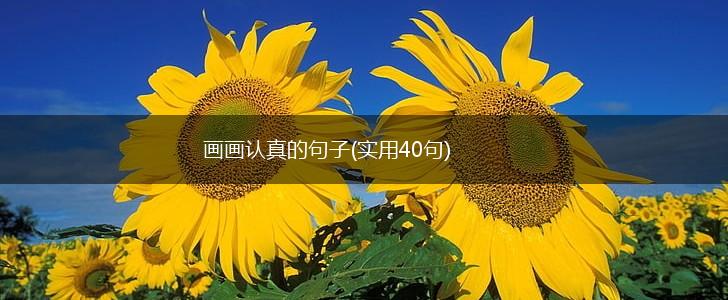 画画认真的句子(实用40句),第1张