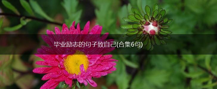 毕业励志的句子致自己(合集6句),第1张