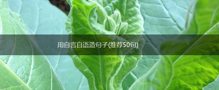 用自言自语造句子(推荐50句),第1张
