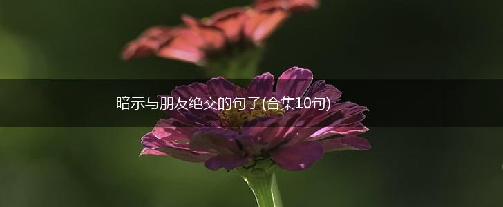 暗示与朋友绝交的句子(合集10句),第1张