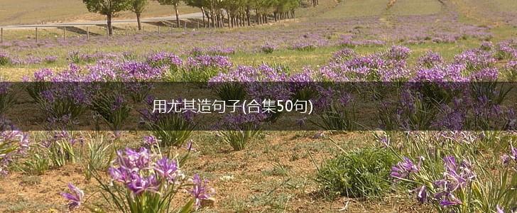 用尤其造句子(合集50句),第1张